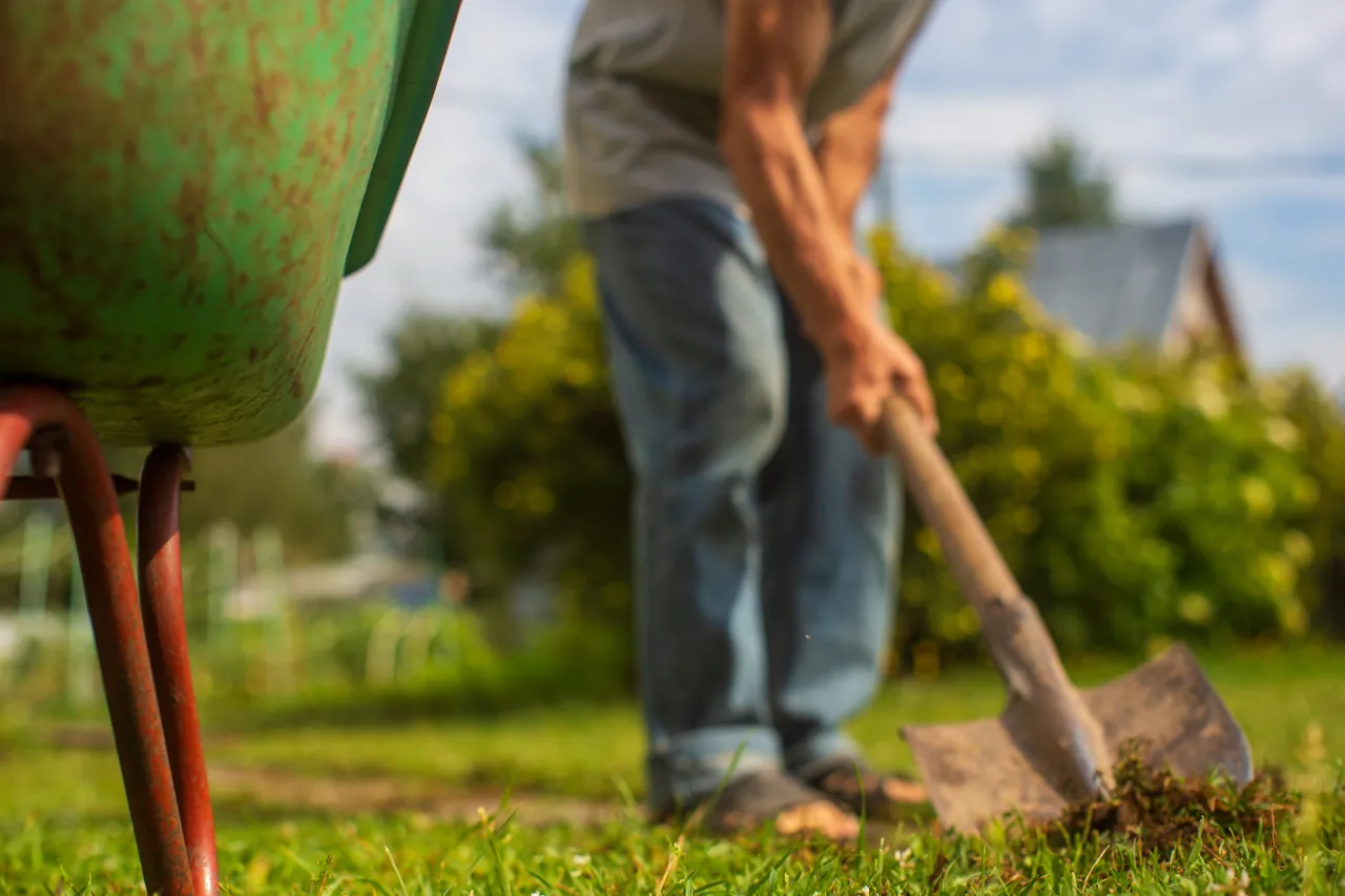 A man digging in a lawn